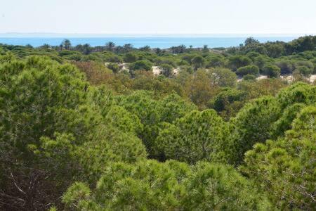 Casa Felipa, Una Estancia Unica En La Costa Blanca Guardamar del Segura Extérieur photo